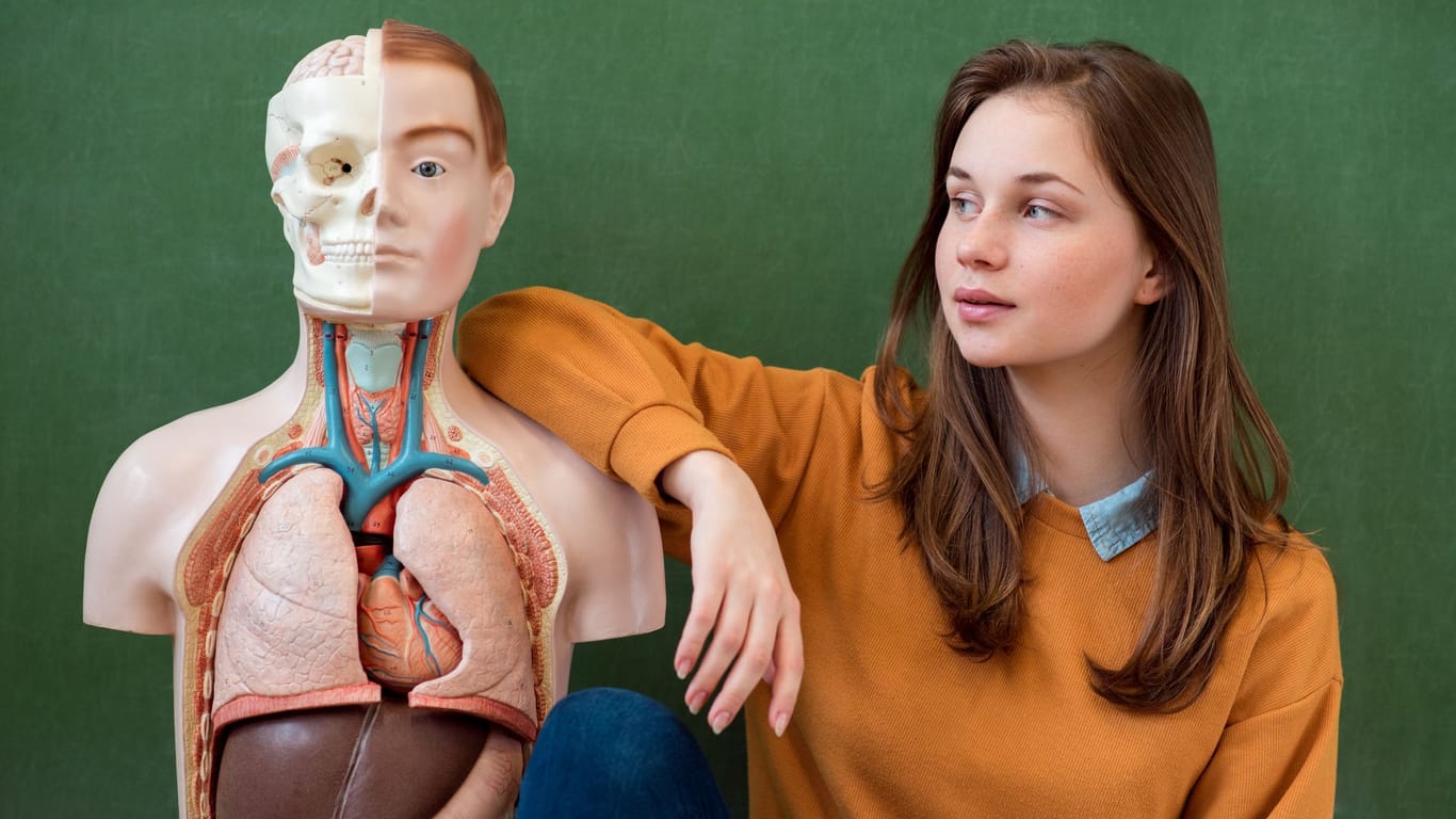 Junges Mädchen neben einem Anatomiemodell des menschlichen Körpers