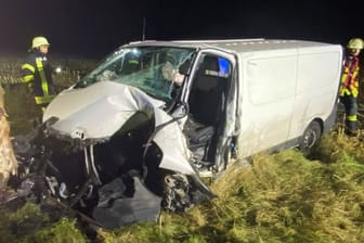 Der verunfallte Kleintransporter: Die Feuerwehr musste den Fahrer aus dem Fahrzeug schneiden.
