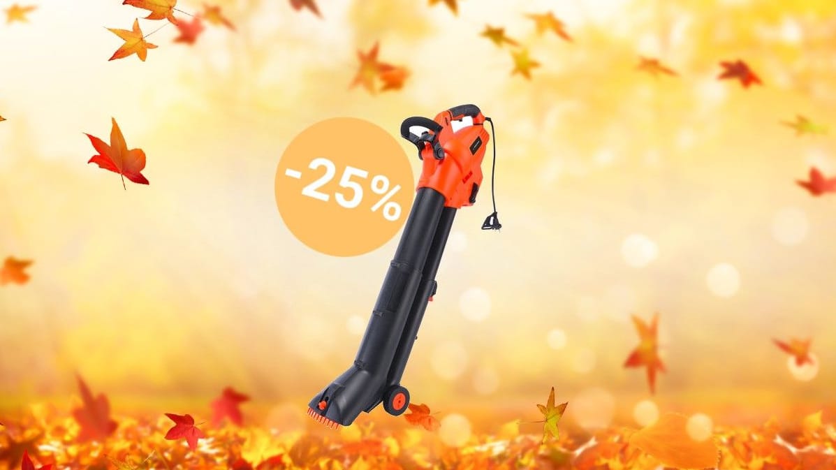 Für den Herbst: 3-in-1-Laubbläser von Yard Force im Aldi-Angebot sichern.