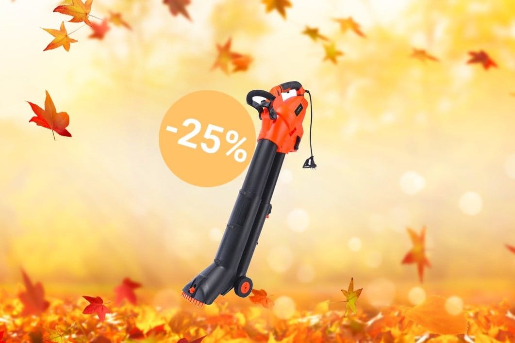 Für den Herbst: 3-in-1-Laubbläser von Yard Force im Aldi-Angebot sichern.