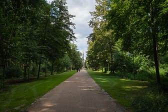 Der Berliner Tiergarten
