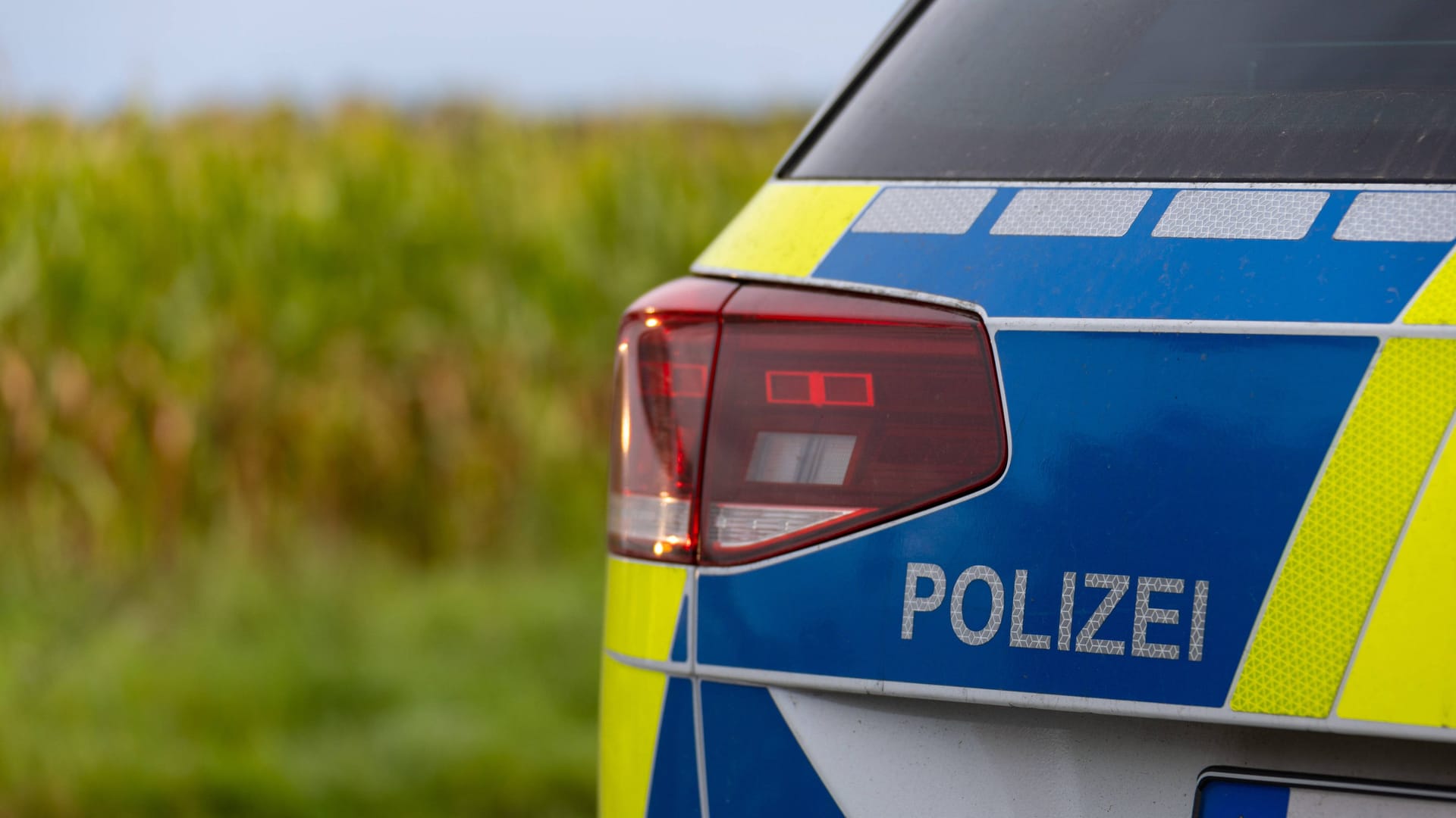 Streifenwagen der Polizei (Symbolbild): Die Radfahrerin wurde in ein Krankenhaus gebracht.