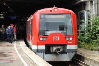 S-Bahn in Hamburg (Archivfoto): Die Strecke zwischen Hauptbahnhof und Berliner Tor ist gesperrt.