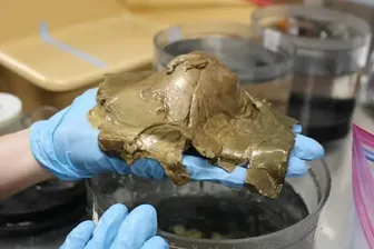 Ein goldenes Objekt wurde vor der Küste Alaskas in der Tiefsee entdeckt.