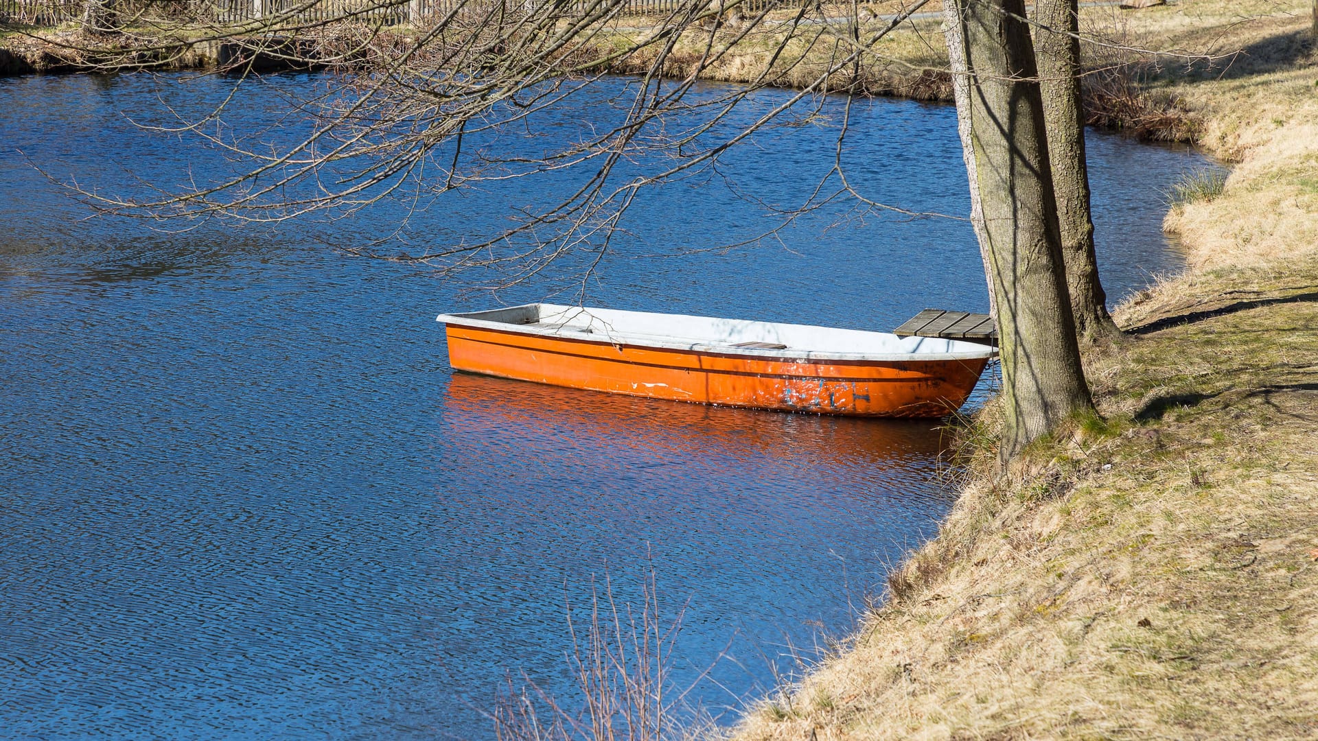 Kahn, einsam auf kleinem Dorfteich, Bielatal,