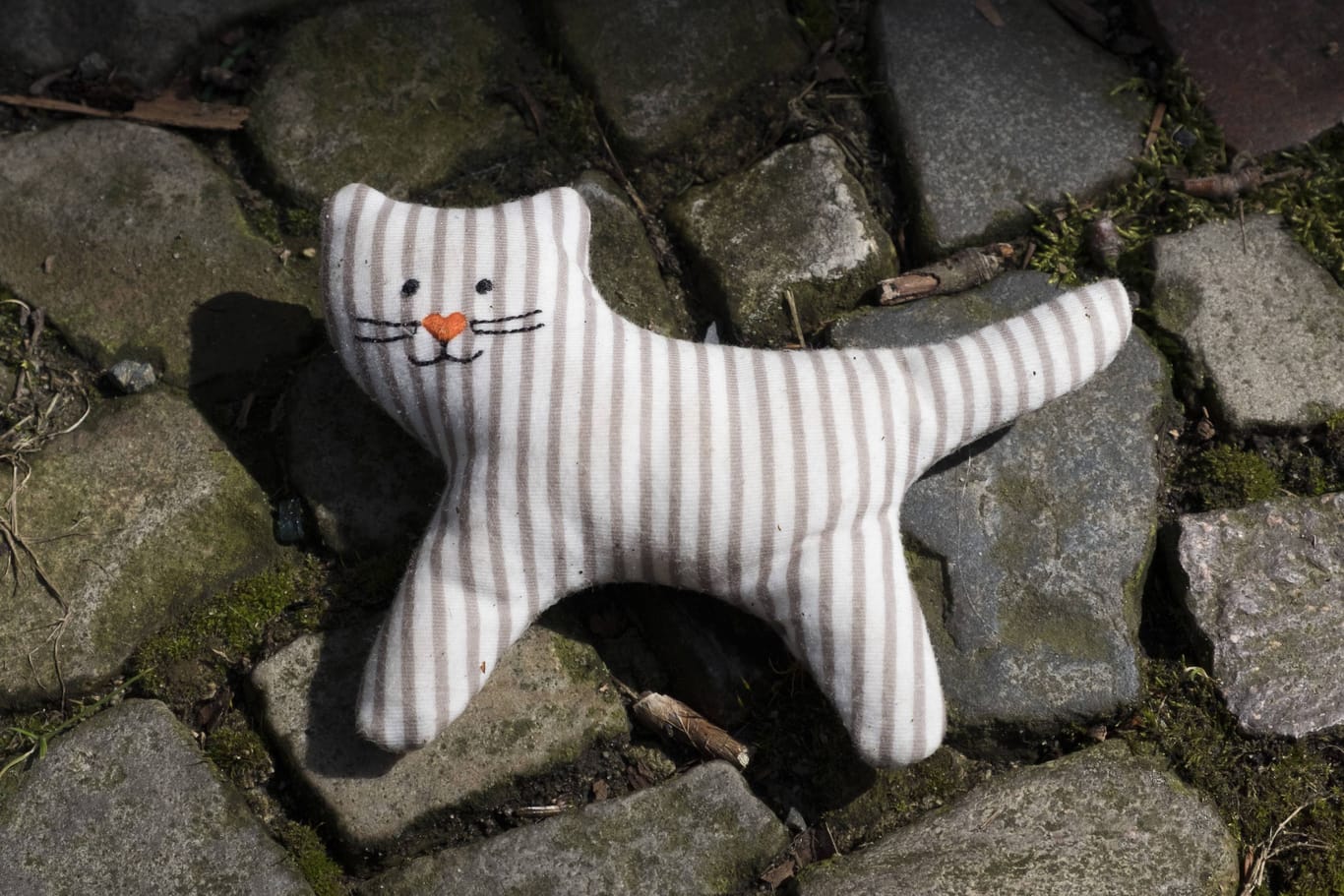 Ein Katzenstofftier liegt auf dem Boden (Symbolbild): Bei einem Ausflug ging der Weggefährte des Vierjährigen verloren.