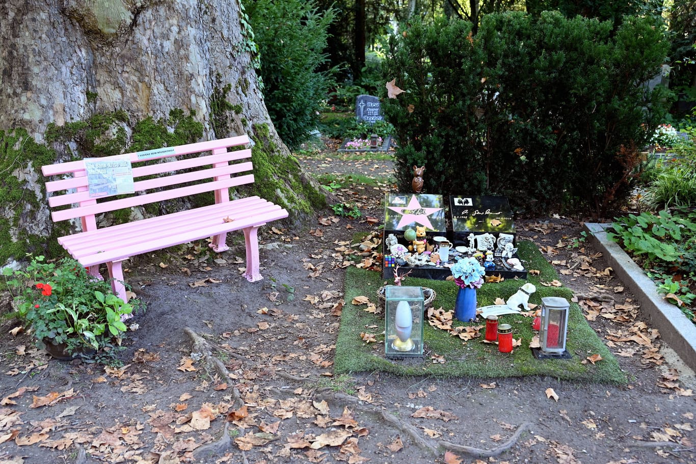 Die rosa Bank am Grab von Dirk Bach (Archivfoto): Seit Jahren kommen zahlreiche Fans zum Grab des Entertainers auf den Kölner Friedhof.