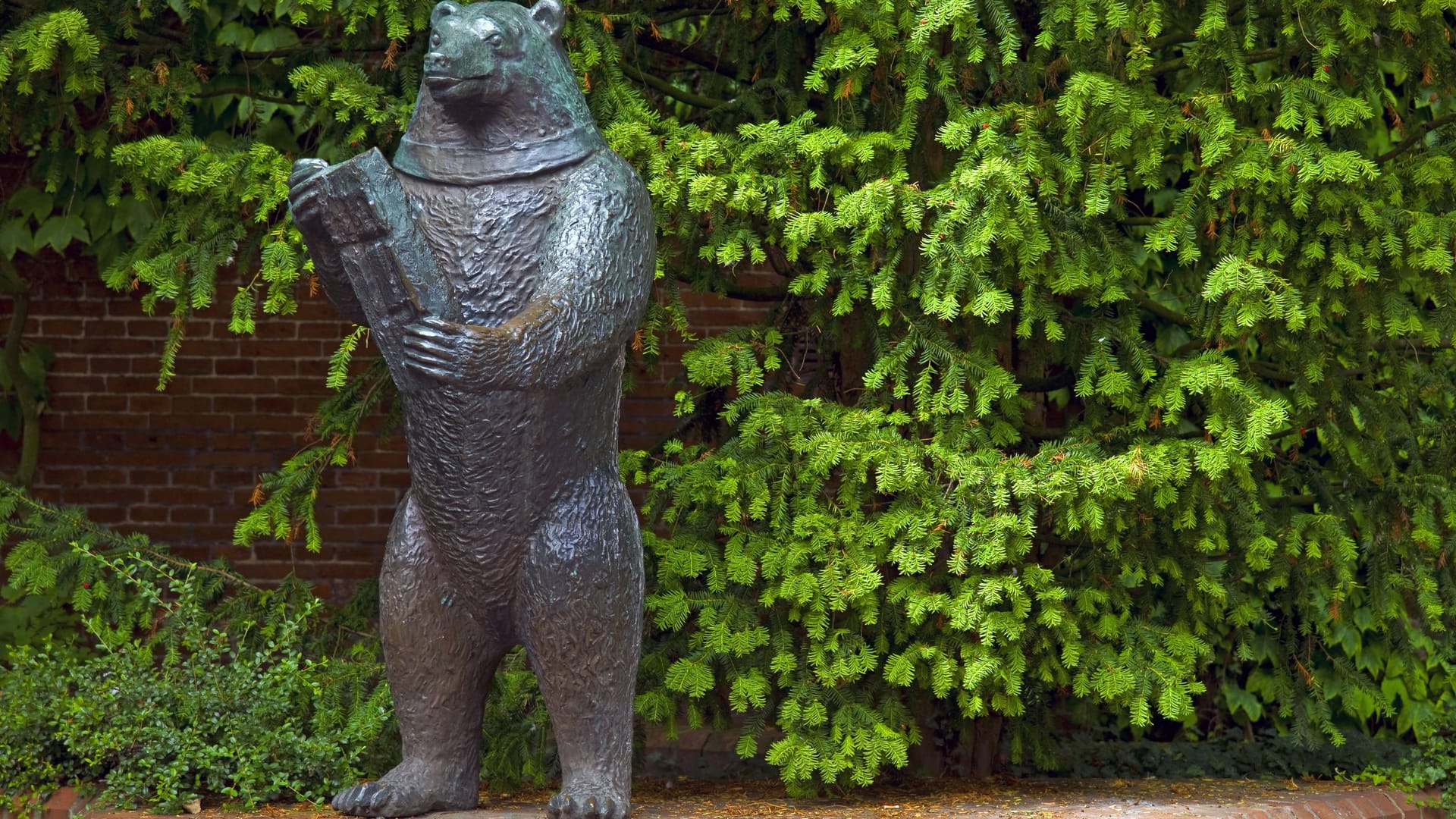 Der Tanzbär von Esens (Archivfoto): Das Tier ziert das Wappen der Stadt.