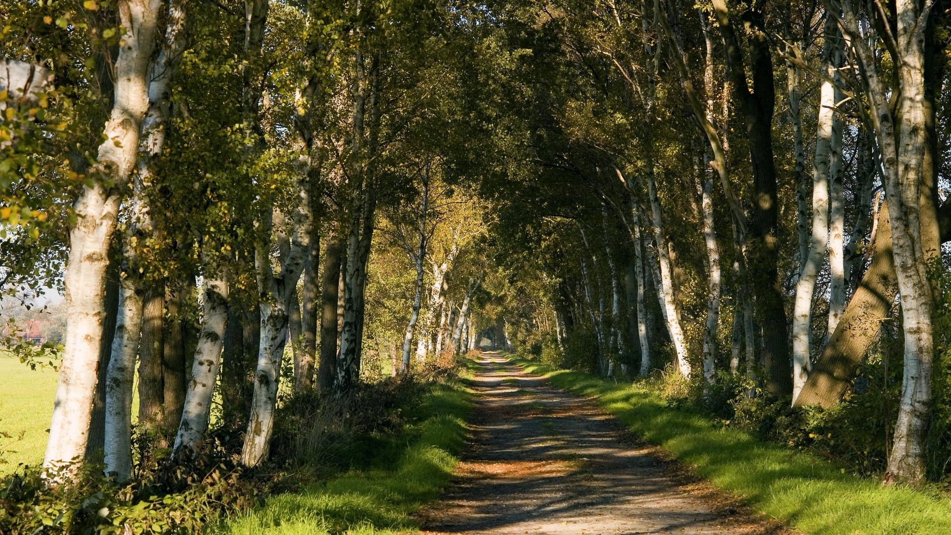 imago images 0238690640 imago images 0238690640