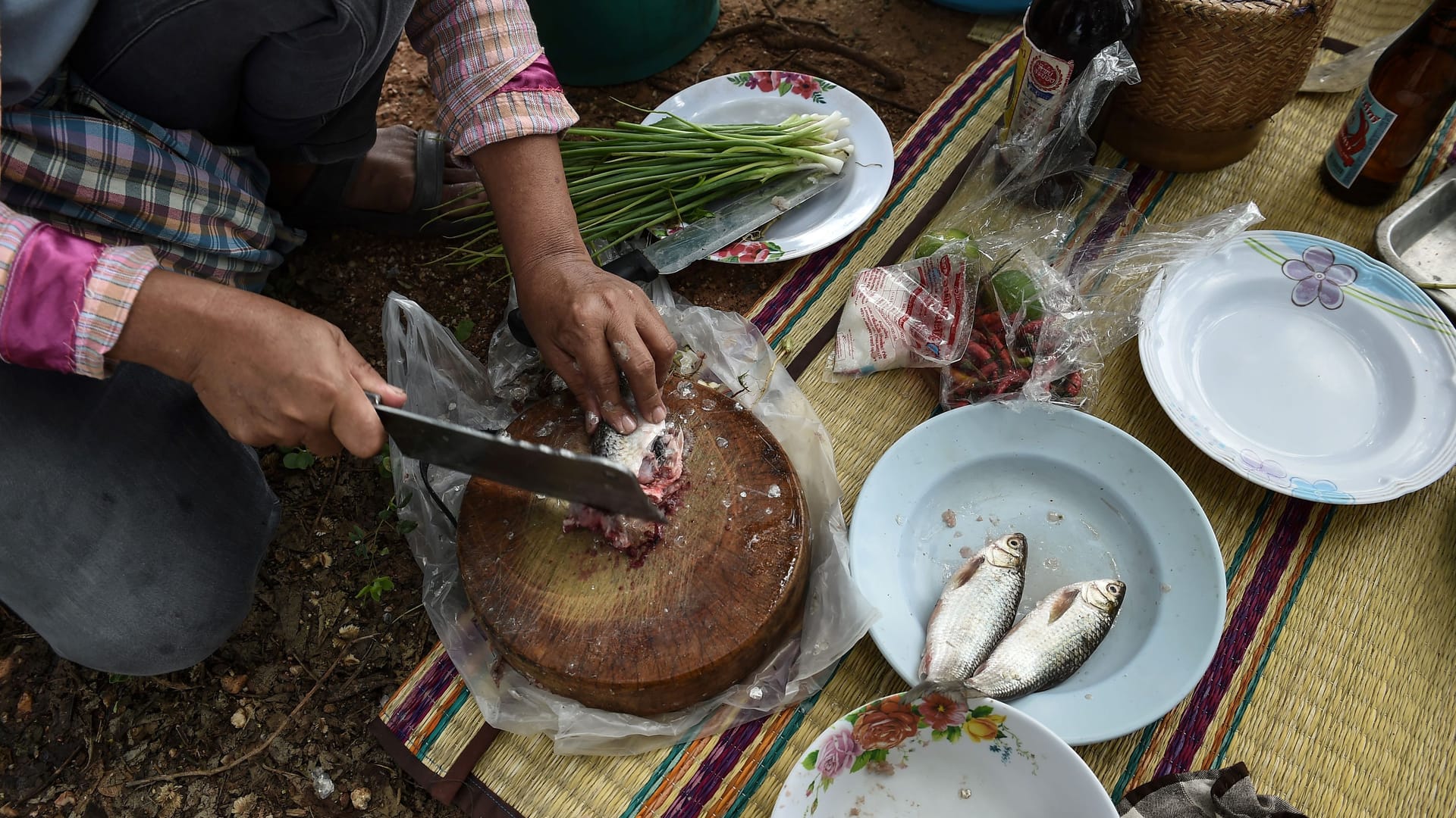 In der thailändischen Provinz Khon Kaen bereitet eine Bäuerin das Gericht Koi Pla aus frischem Fisch zu.