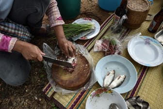 In der thailändischen Provinz Khon Kaen bereitet eine Bäuerin das Gericht Koi Pla aus frischem Fisch zu.