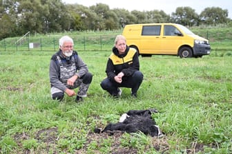 Das Schaf gehörte Sabrina Maas, einer 39-jährigen Postbotin aus der Region. "Blacky" war nicht nur aufgrund seiner seltenen Rasse ein besonderes Tier – die Trauer ist unbeschreiblich.