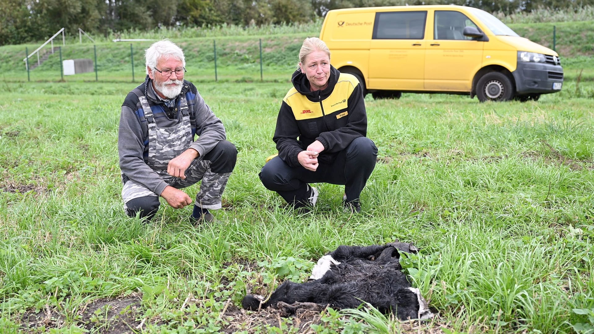Das Schaf gehörte Sabrina Maas, einer 39-jährigen Postbotin aus der Region. "Blacky" war nicht nur aufgrund seiner seltenen Rasse ein besonderes Tier – die Trauer ist unbeschreiblich. Das Schaf gehörte Sabrina Maas, einer 39-jährigen Postbotin aus der Region. "Blacky" war nicht nur aufgrund seiner seltenen Rasse ein besonderes Tier – die Trauer ist unbeschreiblich.