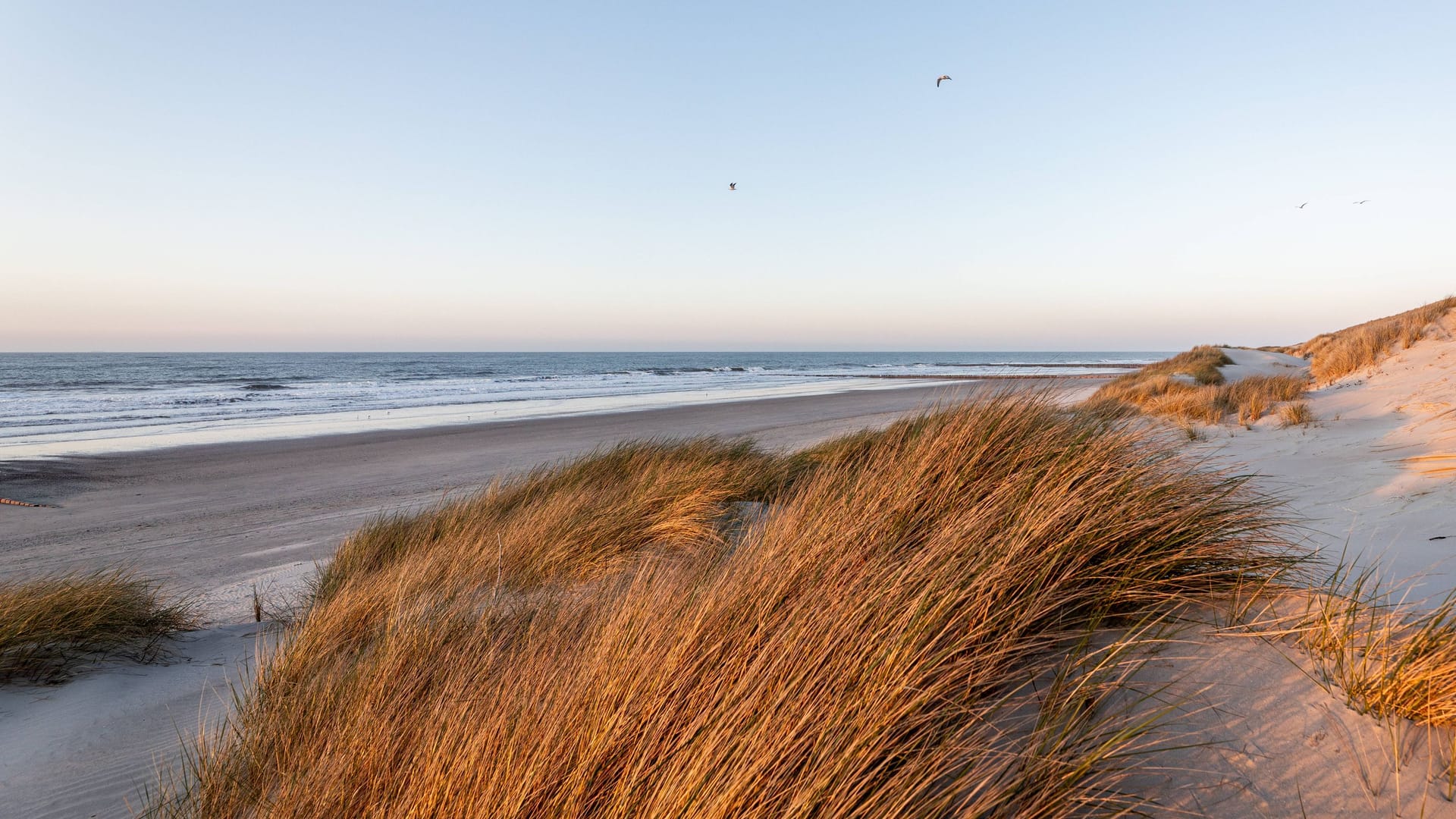 Norderney (Symbolbild): Eine Frau ertrank in der Nordsee.