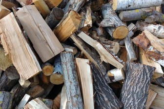 Brennholz: Wer im Winter einen Kamin nutzt, muss das Brennholz richtig lagern.