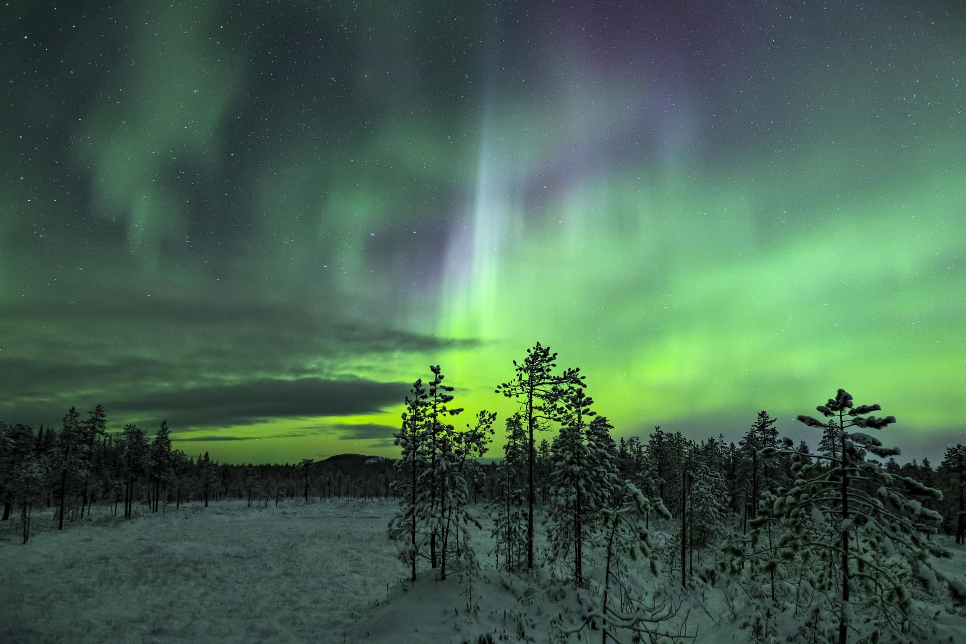 Polarlichter in Schweden (Symbolbild): Auch über Deutschland könnte ein solches Himmelsspektakel zu sehen sein.