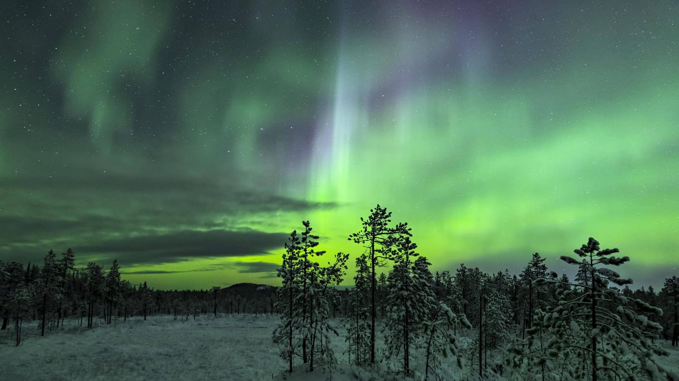 Polarlichter in Schweden (Symbolbild): Auch über Deutschland könnte ein solches Himmelsspektakel zu sehen sein.