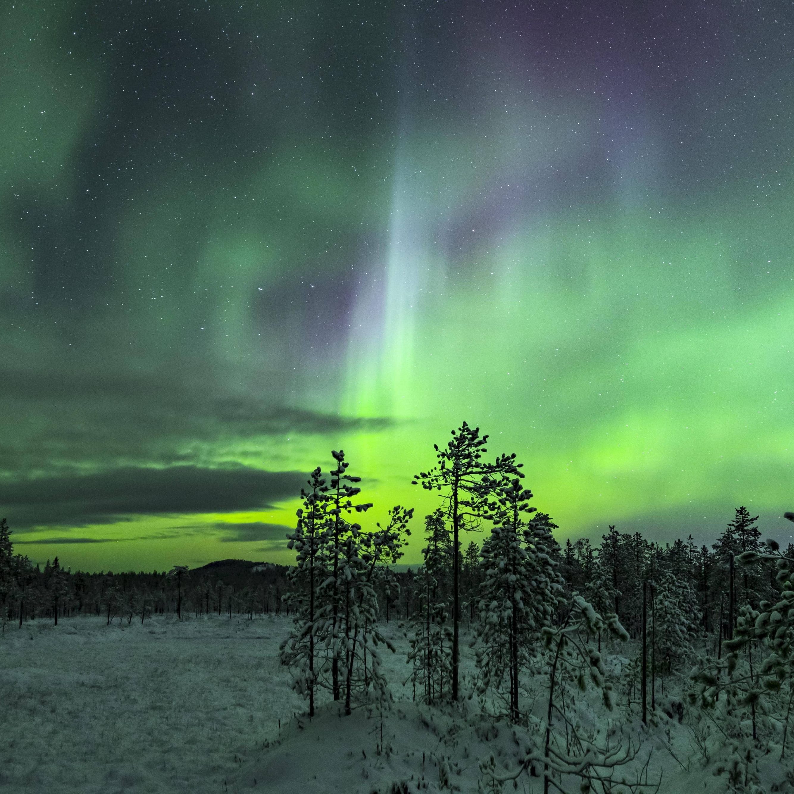 Polarlichter in Schweden (Symbolbild): Auch über Deutschland könnte ein solches Himmelsspektakel zu sehen sein.