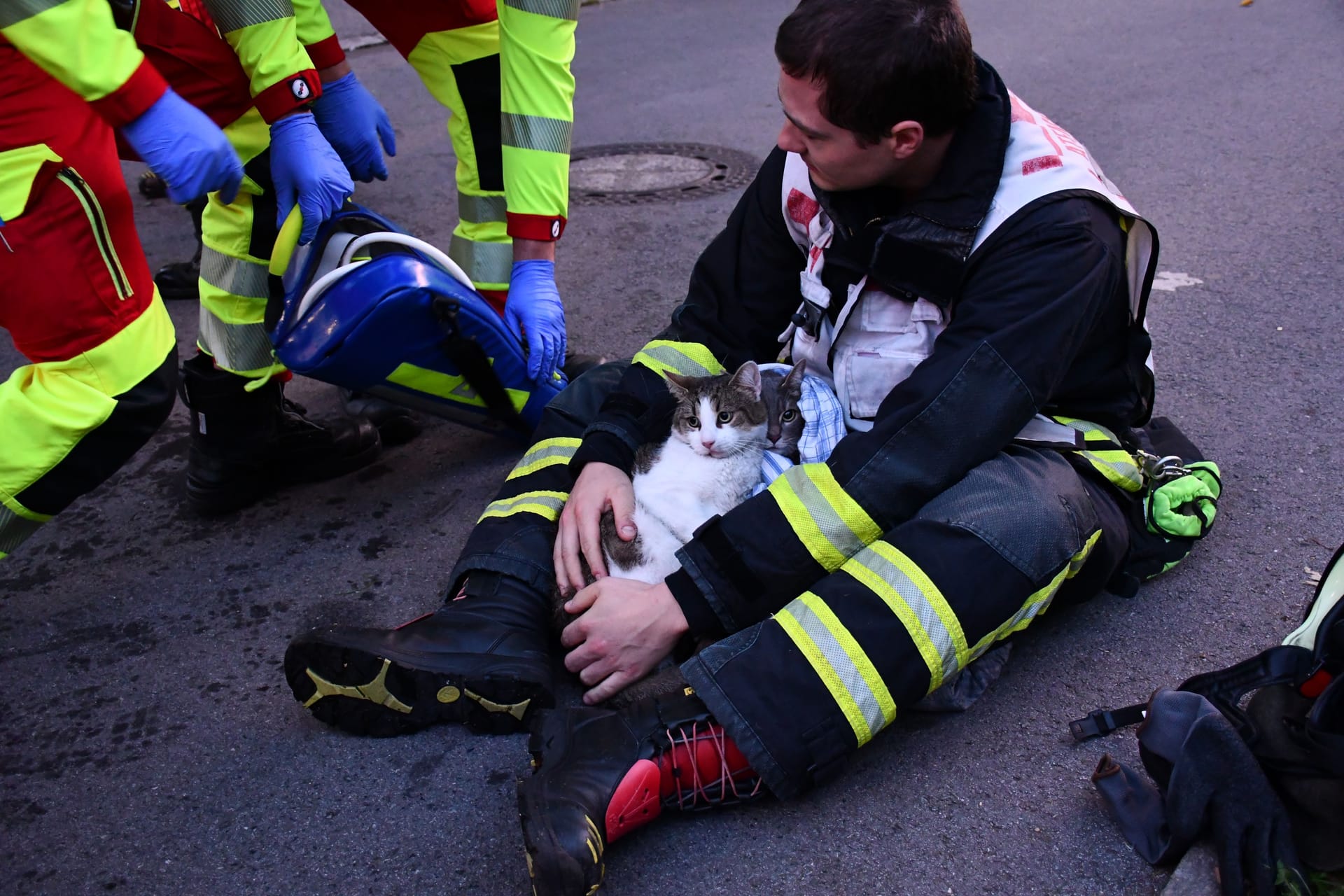 Die Feuerwehr kümmerte sich um die Katzen: Einsatzkräfte konnten sie und ein weiteres Tier retten.