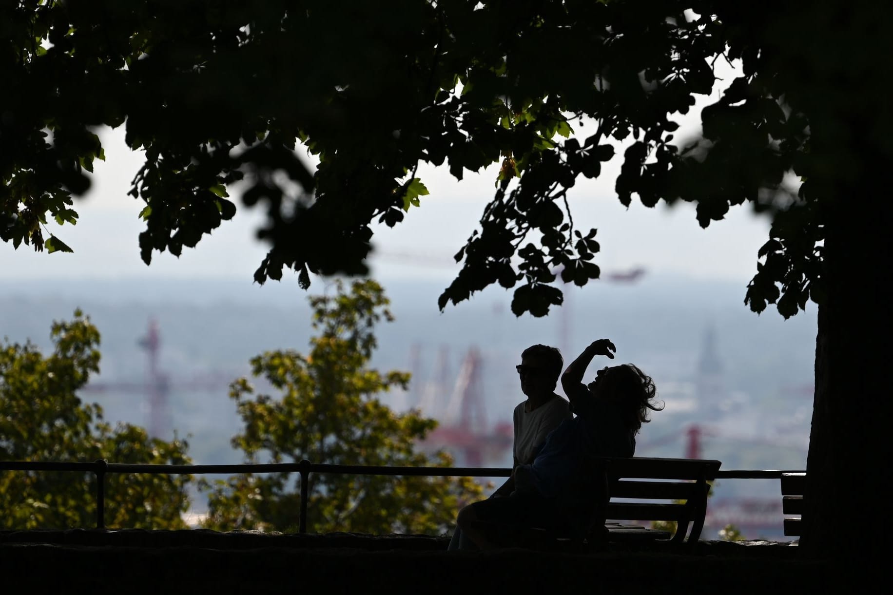 Wetter in Frankfurt am Main