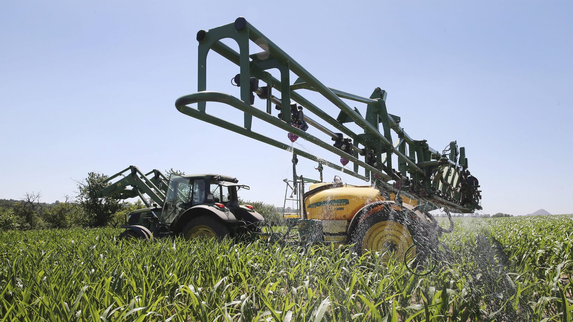 Ein Traktor mit Spruehanlage (Symbolbild): Ob das Unkrautvernichtungsmittel Glyphosat krebserregend ist, ist weiterhin umstritten. Ein Traktor mit Spruehanlage (Symbolbild): Ob das Unkrautvernichtungsmittel Glyphosat krebserregend ist, ist weiterhin umstritten.