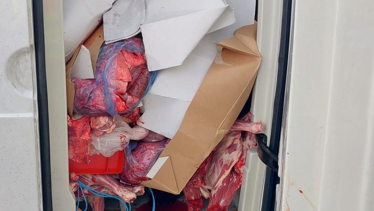 Beim Aufrichten des Transporters fiel Ladung raus: An Bord waren Frischfleisch und Innereien. Beim Aufrichten des Transporters fiel Ladung raus: An Bord waren Frischfleisch und Innereien.