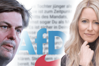 AfD Spitzenkandidat Maximilian Krah lockte Hochstapler-Ex mit EU-Geldern