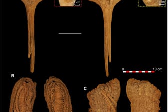 Holzhammer und zwei Paar Sandalen, die in der Cueva de los Murciélagos (Fledermaushöhle) in Südspanien im 19. Jahrhundert entdeckt und jetzt genau datiert wurden.
