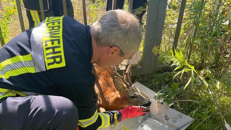 Bei der Rettung: Die Feuerwehr Groß Hehlen hat am Sonntag einem Reh geholfen.