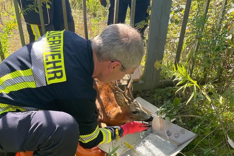 Bei der Rettung: Die Feuerwehr Groß Hehlen hat am Sonntag einem Reh geholfen.