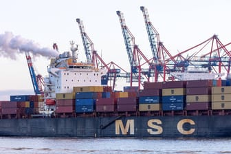 Ein Containerschiff von MSC im Hamburger Hafen: Der Konzern will sich Anteile an der HHLA erwerben.