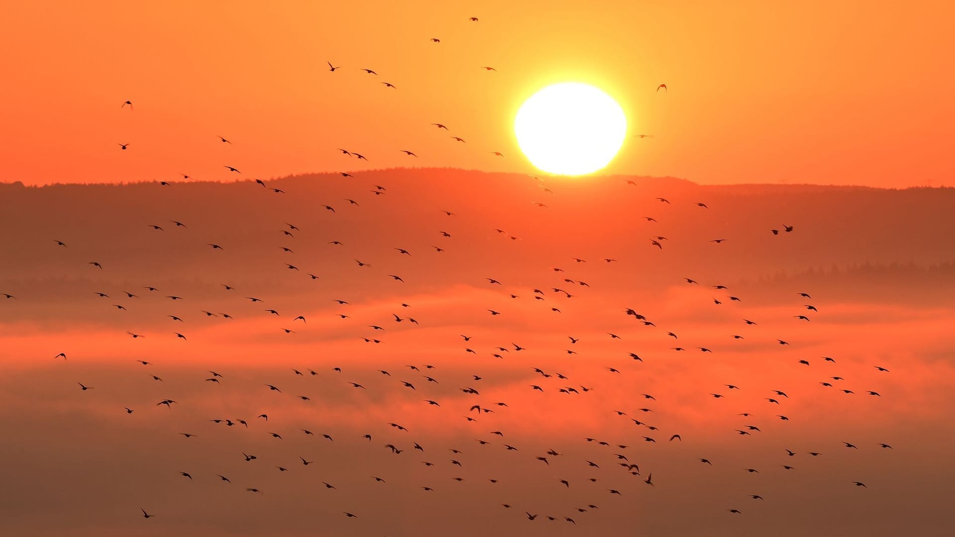 Sonnenaufgang Sonnenaufgang