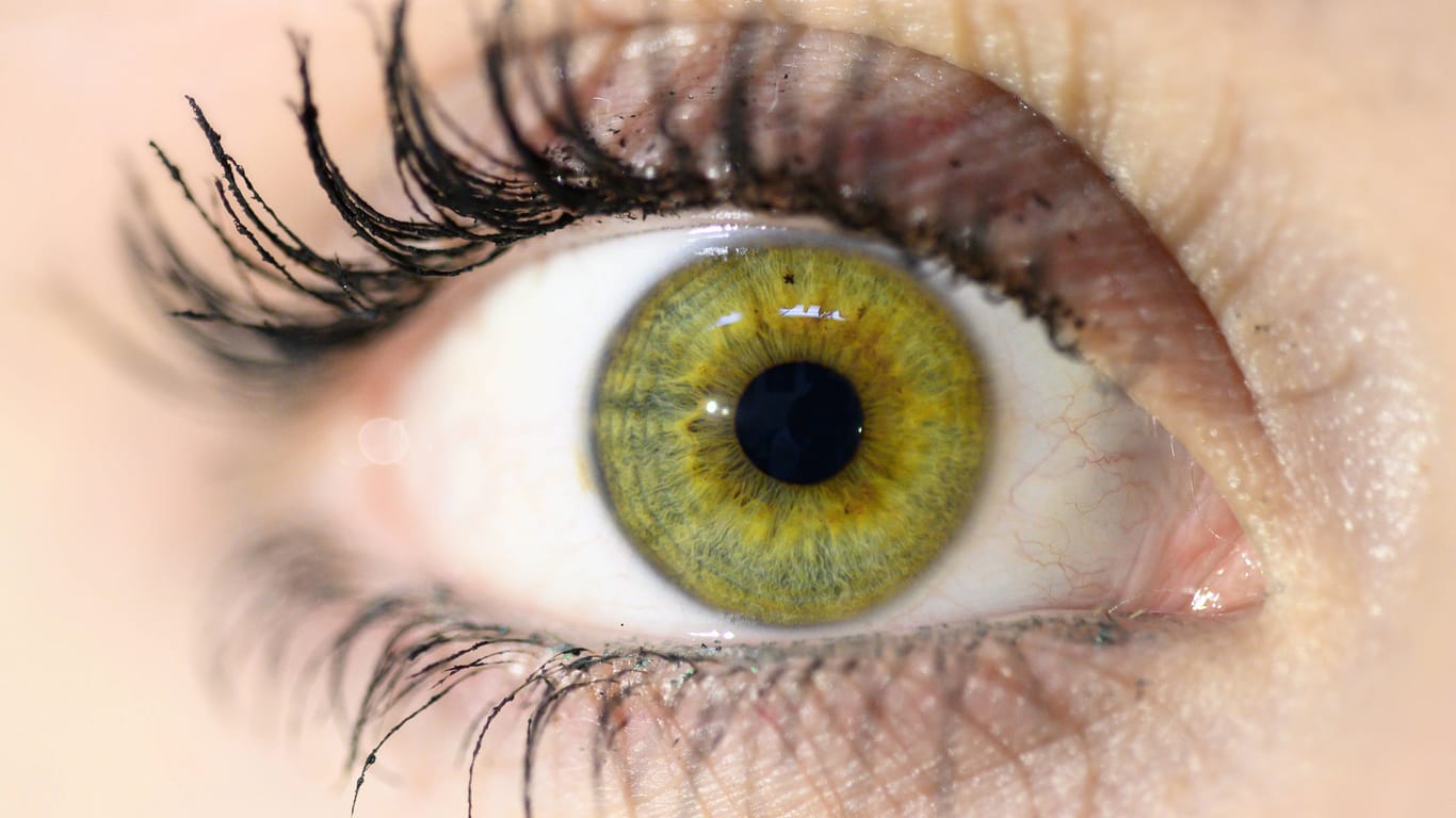 Gesundheitsspiegel Augen: An unseren Sehorganen lassen sich eine Reihe von Krankheiten ablesen.