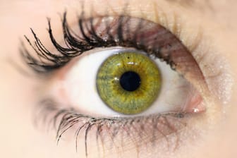 Gesundheitsspiegel Augen: An unseren Sehorganen lassen sich eine Reihe von Krankheiten ablesen.