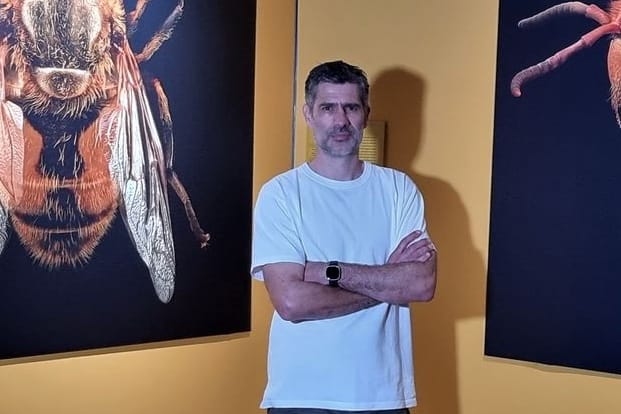 Ausstellung «Extinct & Endangered: Insekten in Gefahr»