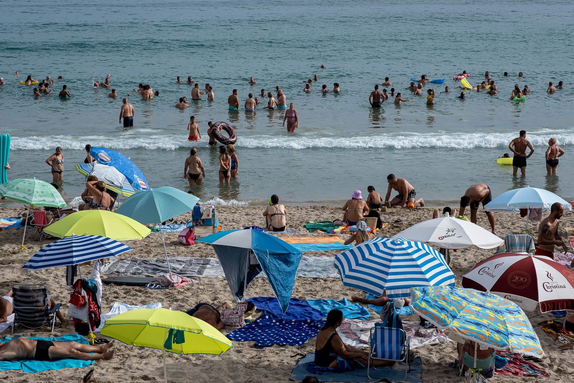 Poniente-Strand in Benidorm: Aggressive Fische treiben ihr Unwesen.