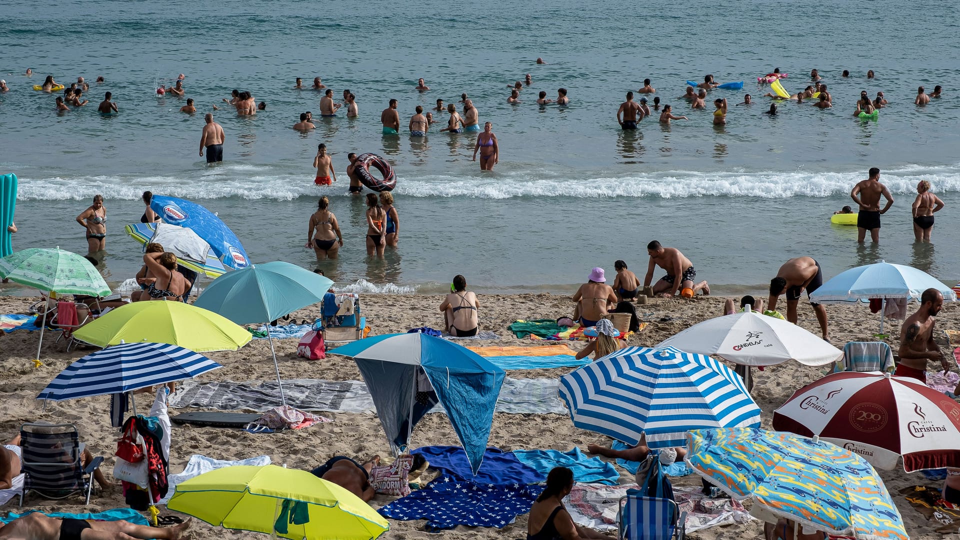 Poniente-Strand in Benidorm: Aggressive Fische treiben ihr Unwesen.