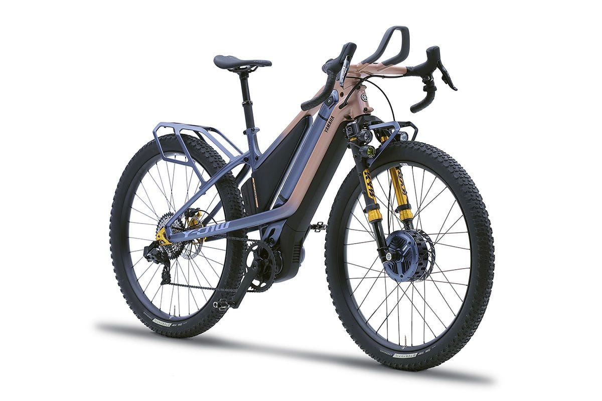 Kraft für beide Räder: Dieses E-Bike hat Allradantrieb.