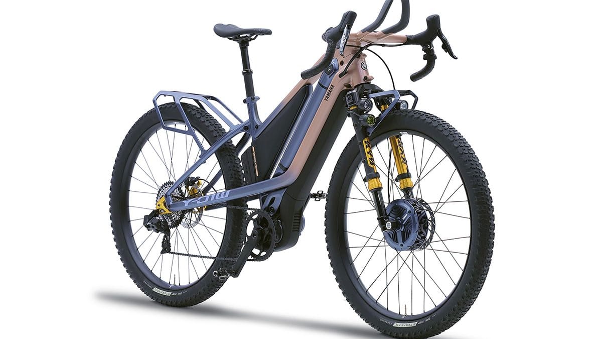 Kraft für beide Räder: Dieses E-Bike hat Allradantrieb.