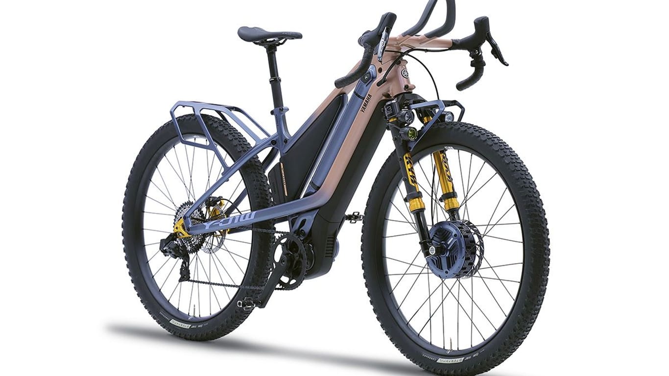 Kraft für beide Räder: Dieses E-Bike hat Allradantrieb.