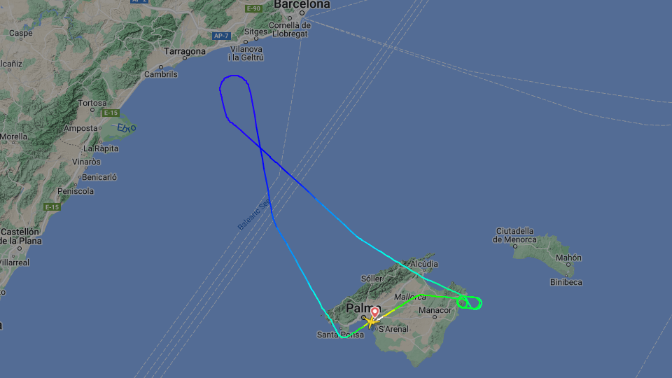 Der Ryanair-Flieger flog mehrere Kreise, bevor er auf Mallorca wieder landen konnte.