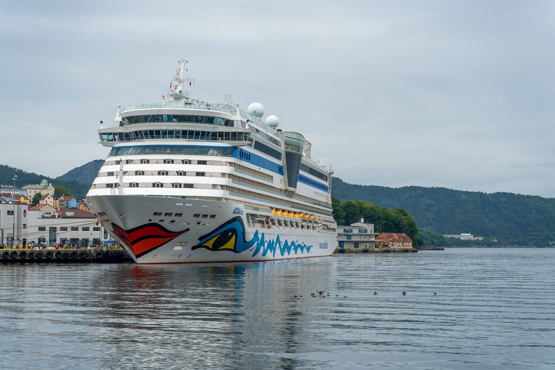 Kreuzfahrtschiff Aida Diva (Archivbild): Kreuzfahrtreedereien laufen keine israelischen Häfen an