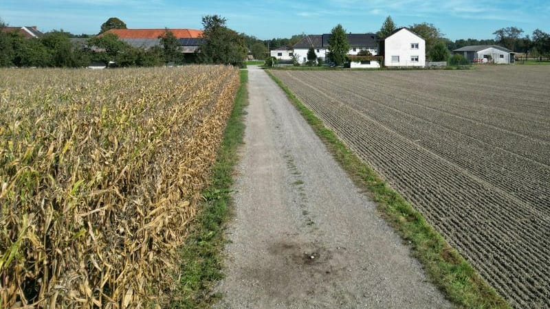 Ein Feldweg in Naarn.