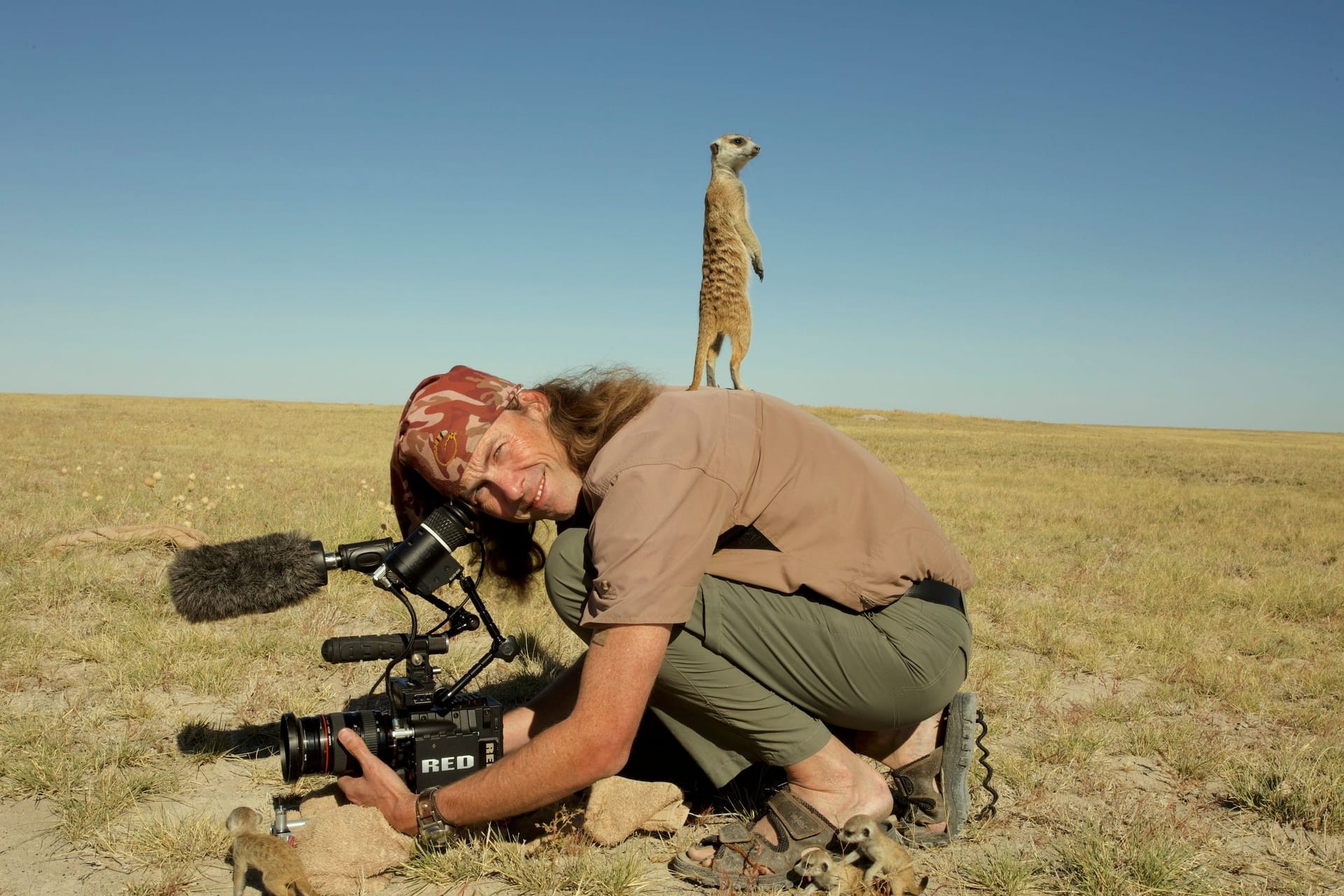 The filmmaker in his element: In the middle of the wilderness there is only him, the animals and his equipment.