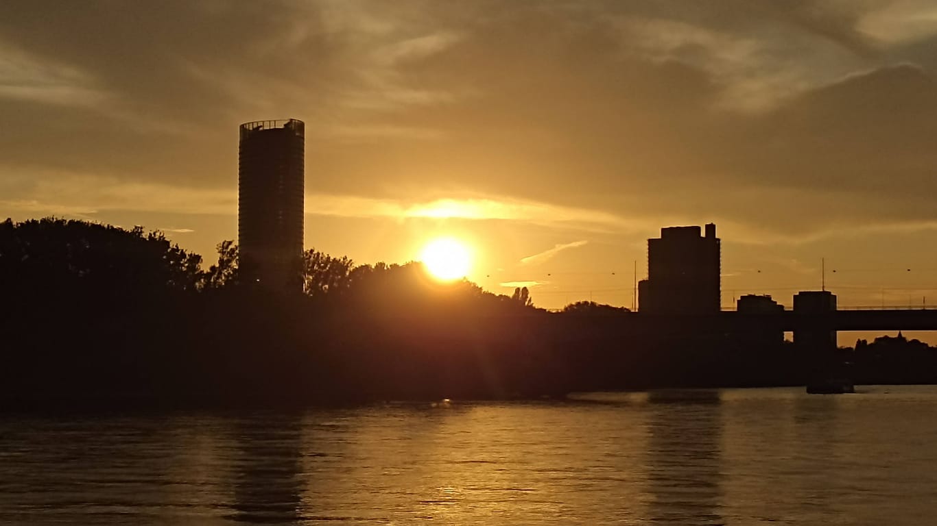 Bonn am Rhein (Symbolfoto): In dem Fluss wurde am Montag ein Toter gefunden.