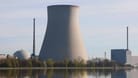 Stillgelegtes Kernkraftwerk Isar II in Essenbach (Archivbild): "Das war ein Fehler", sagt der Ökonom zur Verknappung des Stromangebotes in Deutschland.