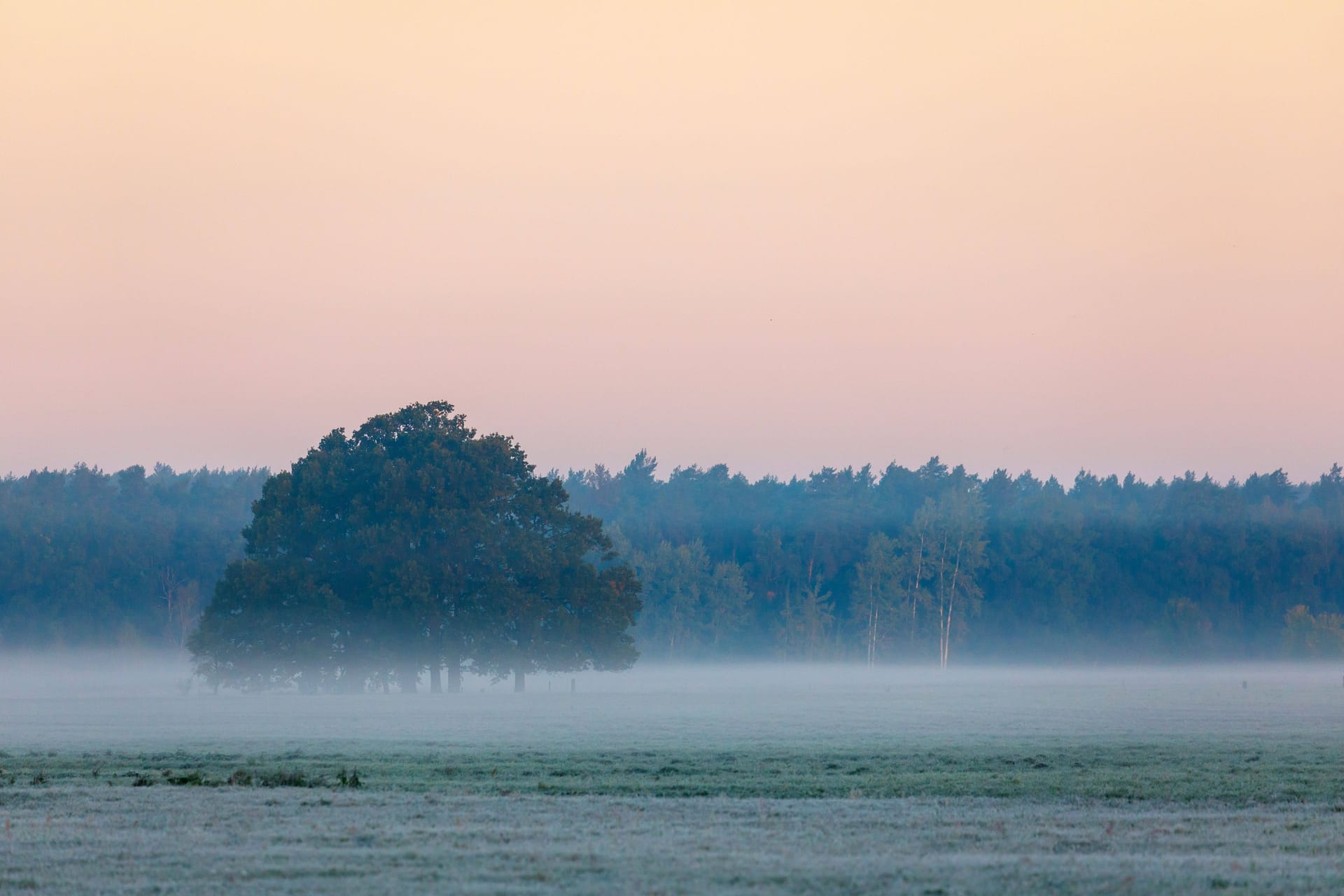 Morgenstimmung nach einer frostigen Nacht (Symbolfoto): Die kommenden Nächte in Bayern werden kalt.