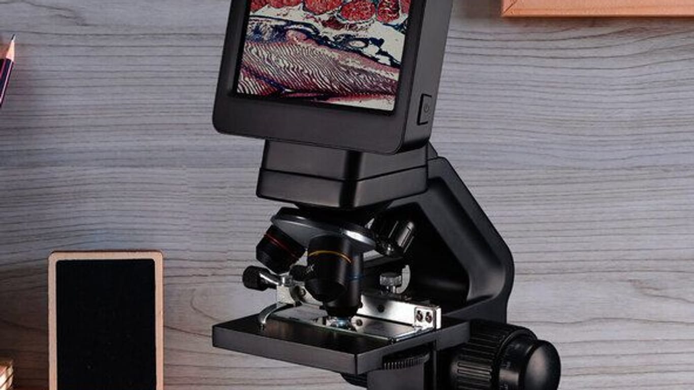 Im Aldi-Onlineshop ergattern Sie aktuell ein digitales Mikroskop von Bresser im Angebot.