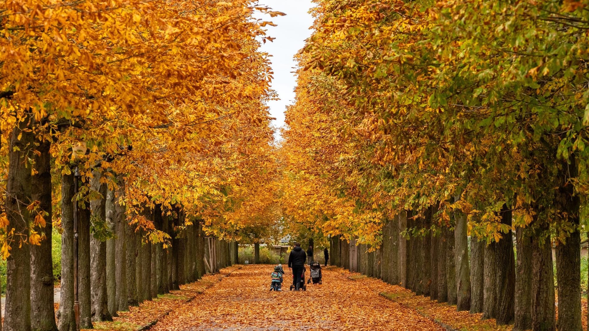 Herbststimmung in Potsdam Herbststimmung in Potsdam