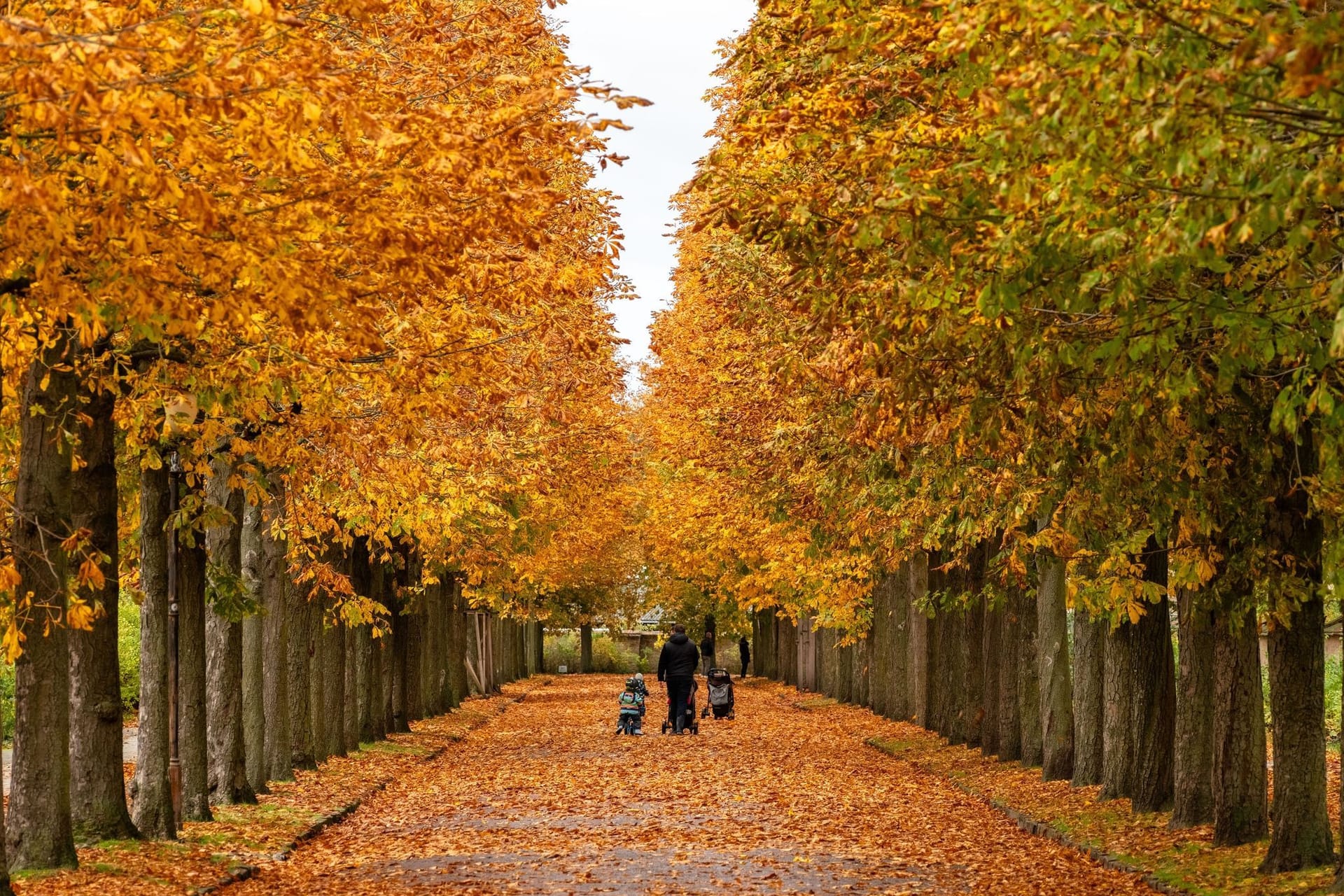 Herbststimmung in Potsdam